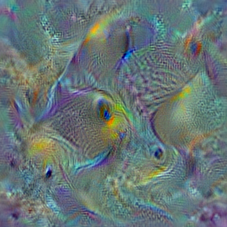 n02606052
